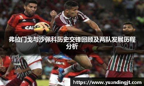 弗拉门戈与沙佩科历史交锋回顾及两队发展历程分析